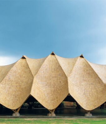 Le corps humain, un trésor pour le biomimétisme en architecture