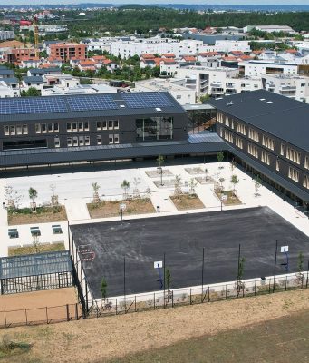 Le développement durable, clé de voute de Neolife