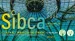 sibca pour site