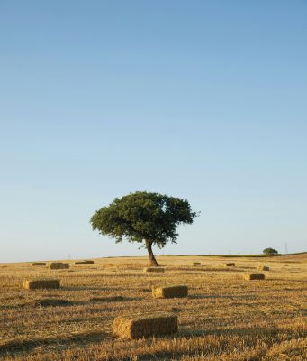 Production en série : le biosourcé devient enfin crédible