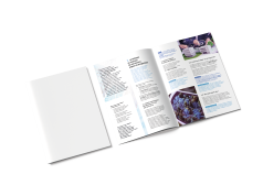 Industrialisation + smart building, la grande convergence